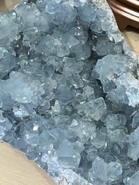 Image 8 of Celestite Open Crystal Cluster #2589