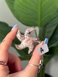 Image 1 of CHOOSE YOUR OWN MINI SOAPSTONE STARFISH