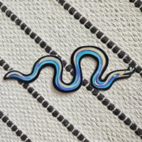 Image 1 of Ribbon Eel