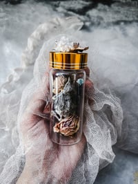 Image 4 of Reserved for Jennifer !!! Baby dove 