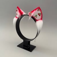 Image 2 of Cherry - Kitten