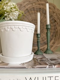 Image 2 of The Scallop Pot