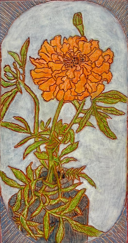 Marigold 