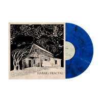 Image 5 of HABAK/FRACTAL SPLIT 12" -  2026 reissue