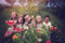 Image of Summer 2025 Minis