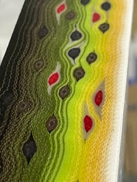 Image 7 of Thin Brown Trout by Mikie