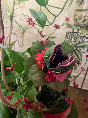 Image of Audrey 2-Little shop of Horrors deluxe 