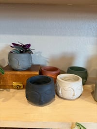 Image 3 of Pothead