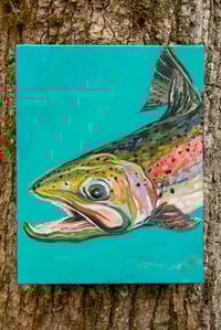 Image 1 of Rainbow trout