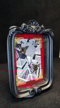 Image 4 of Entomology frames