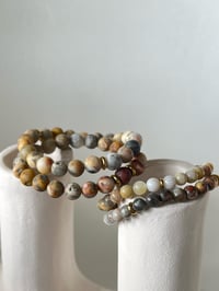 Image 4 of Crazygate