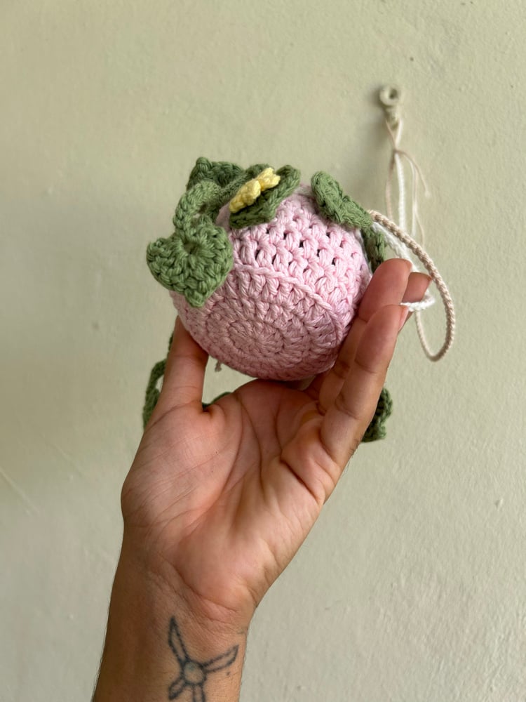 Image of ✧Hanging Primrose Plant