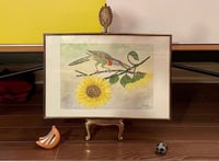 Image 1 of Watercolour Toucan Study