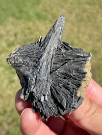 Image 2 of Black Kyanite Fan Specimen #1975