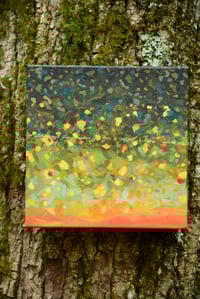 Image 1 of Brook: Fish Skin Series