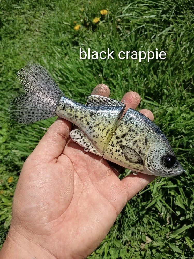 Image of Crooked Crappie