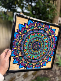 Image 2 of Rooted ✨