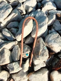 Image 9 of Wild Copper Roots