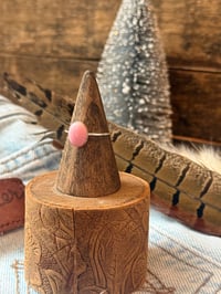 Image 2 of The Jilly