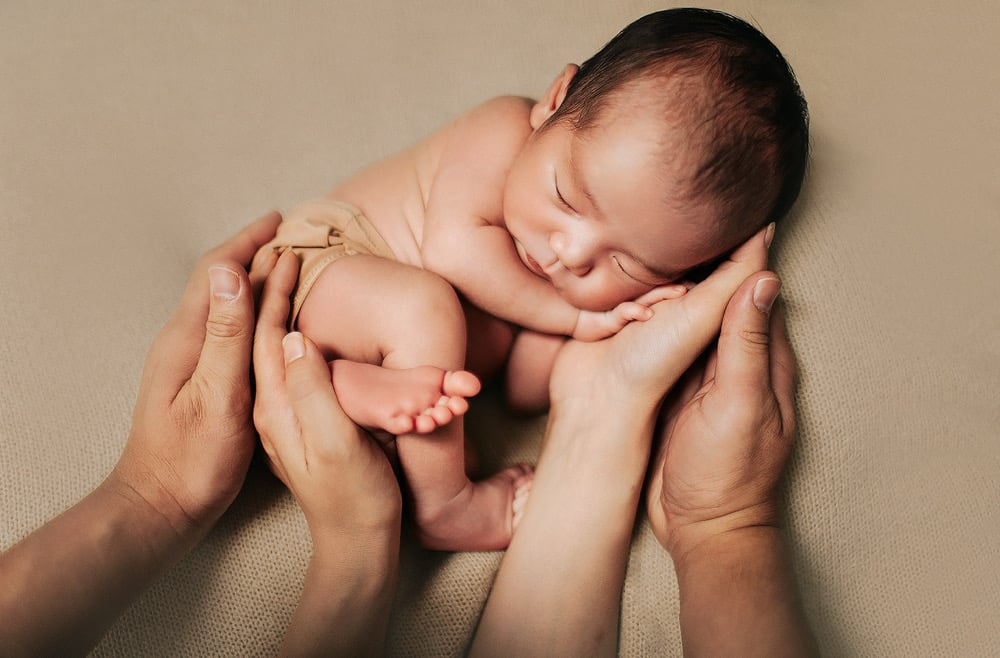 Image of BOGO - Buy Newborn Get Maternity Session FREE
