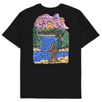 Image 4 of Skimming stones