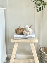 Image 3 of Winnie Fabric Pumpkin