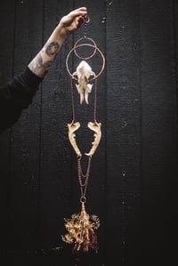 Image 1 of Canine Hanger