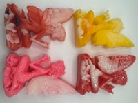 Image 2 of new large shapes