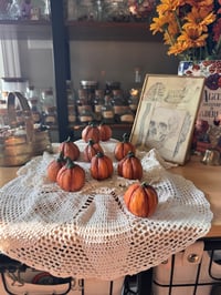 Image 2 of Pumpkin Patch