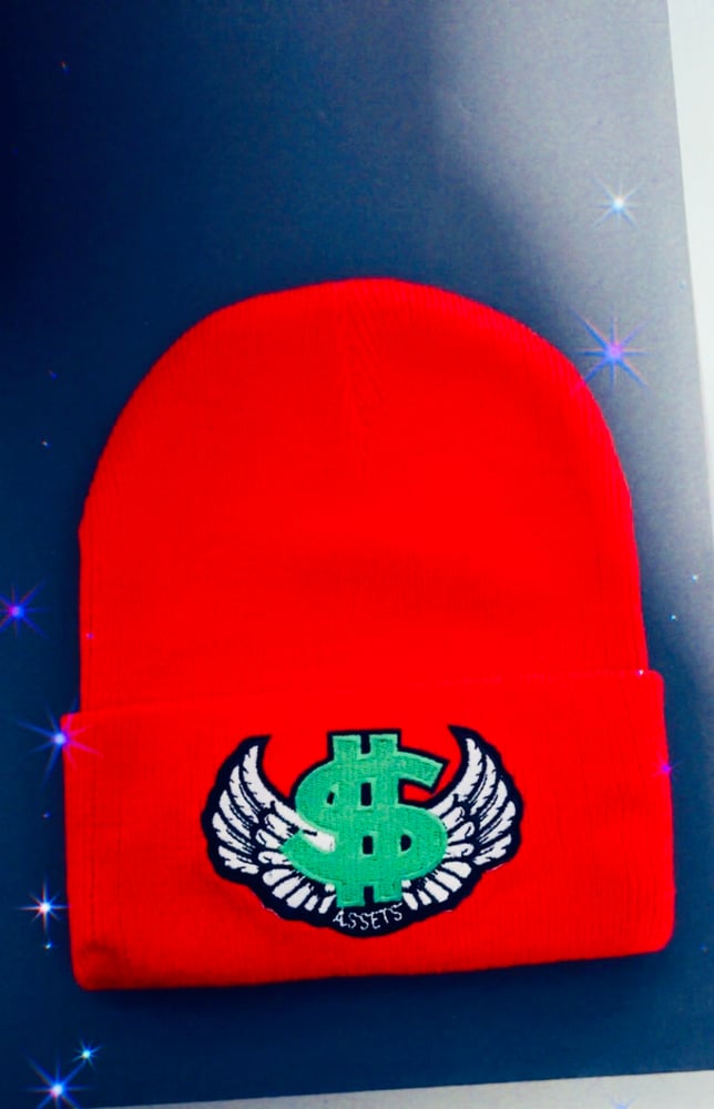 Image of Money wings beanie hat