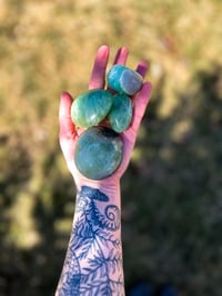 Image 2 of Fluorite Palm Stone