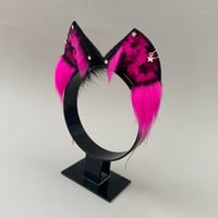 Image 3 of Magenta Star Kitten