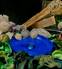 Image 2 of Handmade Seashell Trinket Dish
