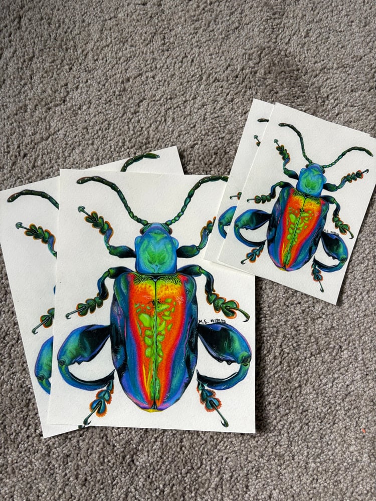 Image of Frog-Legged Beetle Print