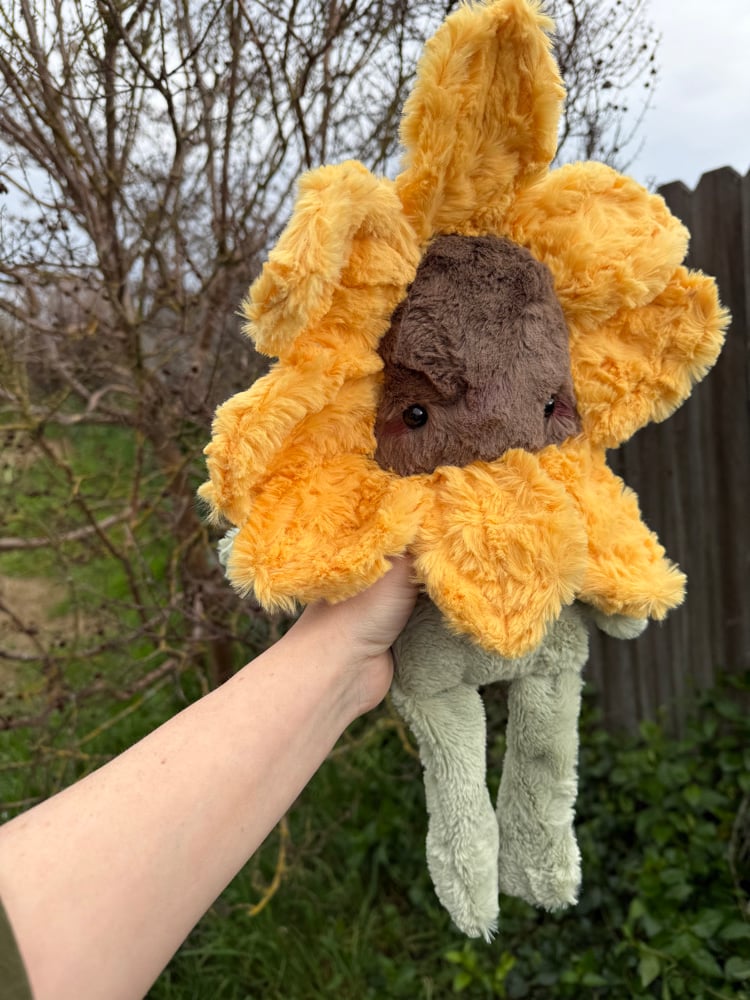 Image of sunflower!