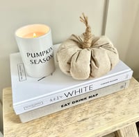 Image 2 of Winnie Fabric Pumpkin