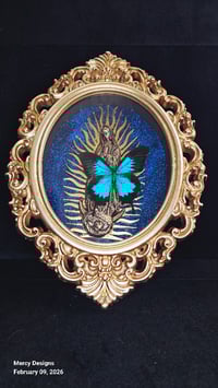 Image 1 of Taxidermy spiders & bats