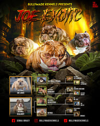 Image 3 of Joe exotic stud fee 