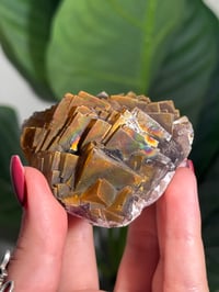 Image 3 of NATURAL RAINBOW IRIDESCENT CUBIC FLUORITE -CHINA- L