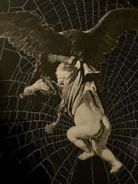 Image 2 of "REMBRANDT COLLECTION - Abduction of Ganymede with preserved spider web. 