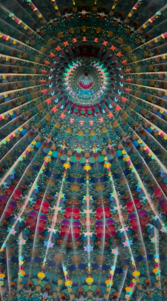 Image of Enchanted Rainforest Mini AuraScope
