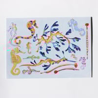 Image 1 of Seahorse and Pipefish Postcard Print