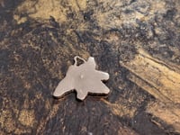 Image 2 of Silver 'Fly' pendant- 0.44ct Padparadscha Pink Sapphire