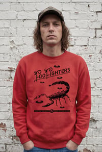 Image 2 of Sudadera Foo Fighters 
