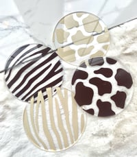 Zebra Print Acrylic Coaster