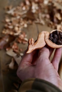 Image 9 of Fox Coffee Scoop 