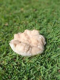 Image 6 of Apophyllite Cluster B