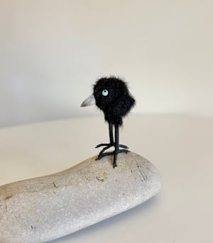 Image of Very Tiny Raven Baby #1