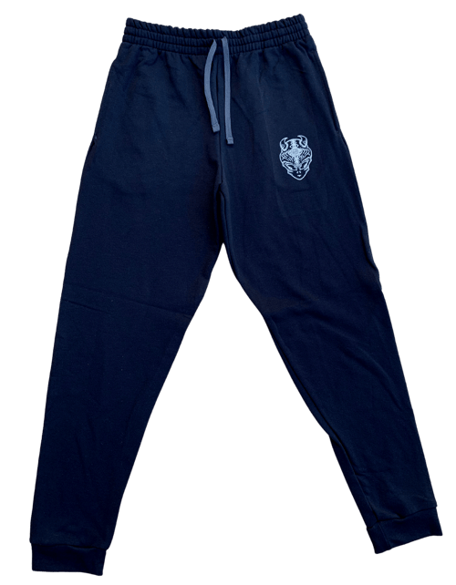 Image of Beyond Earth Joggers 