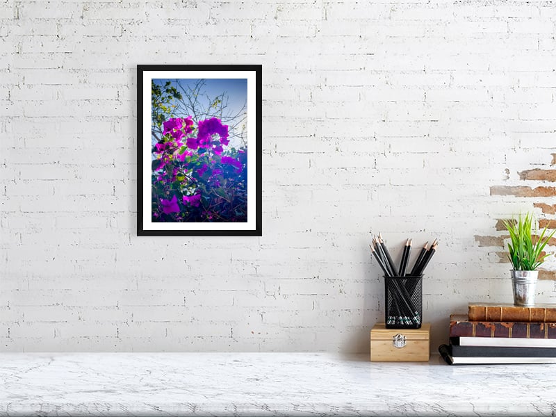 Image of Following the Quiet, Jinja